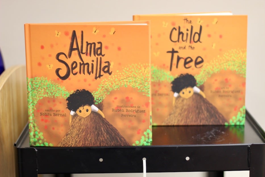 "Alma Semilla" Plants Seeds Of Justice At The Fair Haven Library
